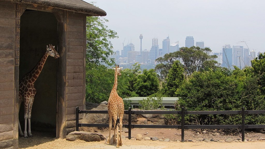 Taronga Zoo, Sydney, New South Wales, Australia