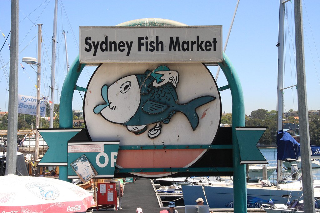sydney fish market