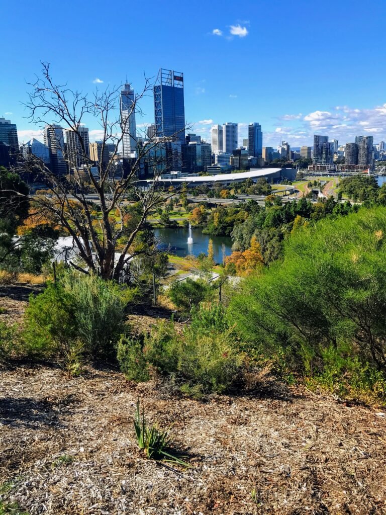 View of city of Perth from Kings Park