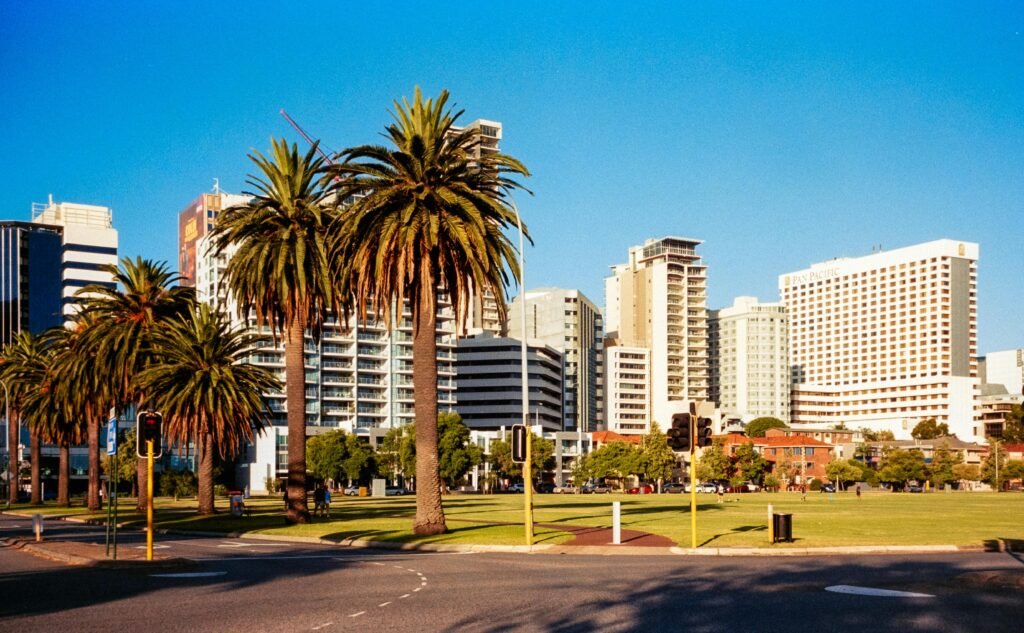 A city with palm trees and buildings in the background