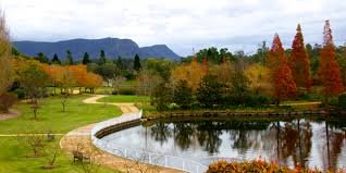 Things to Do in Hunter Valley and its a garden