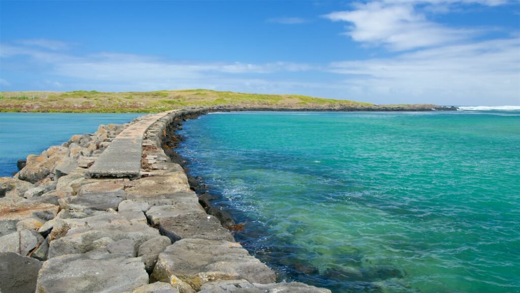 Things to Do in Port Fairy